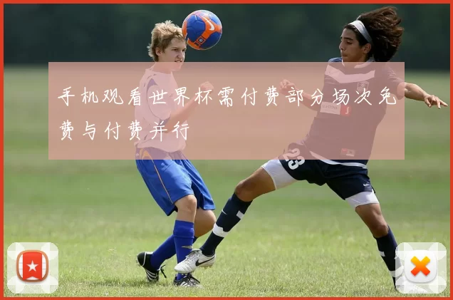 手机观看世界杯需付费部分场次免费与付费并行