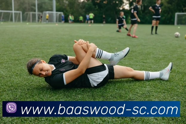 开云app官方在线入口 - 开云kaiyun(中国)发展历程